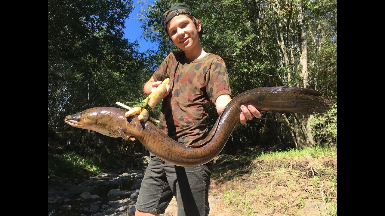 Spearfishing HUGE Eels! Catch n Cook, (primitive spear making)