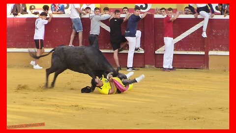 TUDELA ( NAVARRA ) MATINAL VACAS EN LA PLAZA ( SABADO 29 JULIO 2023 ) GANAD.E.DOMINGUEZ