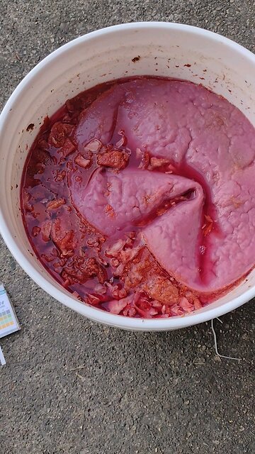 Homemade Bloom Vinegar