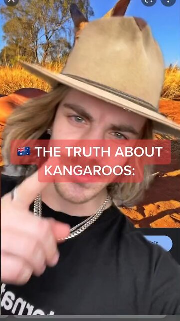 The truth about kangaroos!
