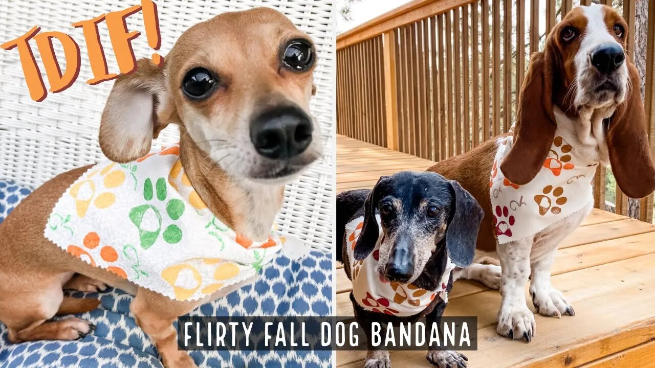 Make this DIY Flirty Fall Dog Bandana