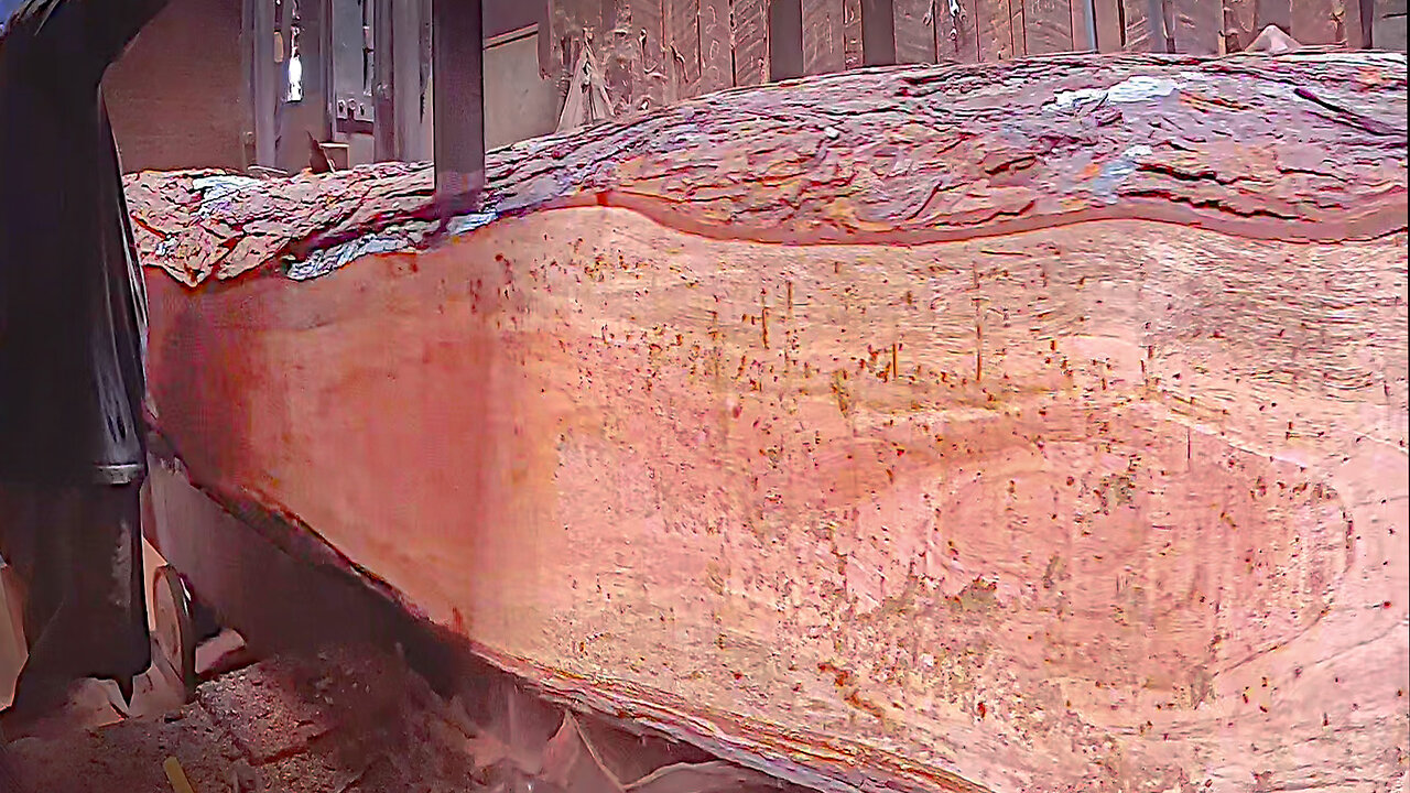 sawmill giant log