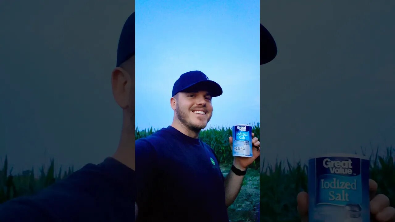 A Punch of Salt