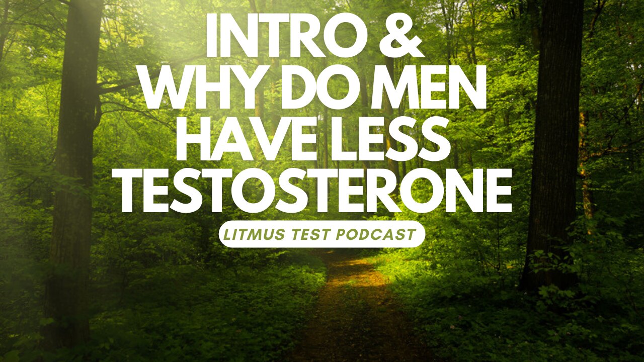 Litmus Test Podcast #1 - Why do men have less testosterone