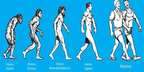 Homosexuality Part 5