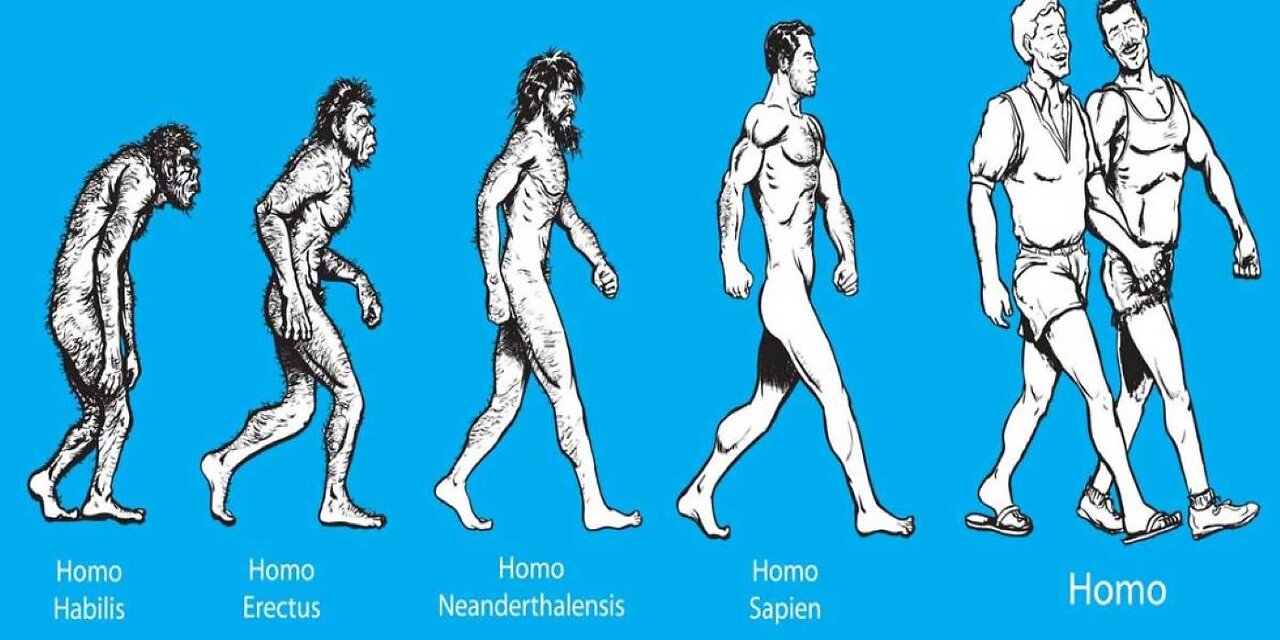 Homosexuality Part 5