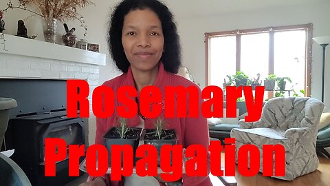 Instant abundance through Propagation