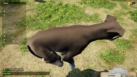 Let's Play Animal Shelter - Episode 3 (Taking on more Animals)