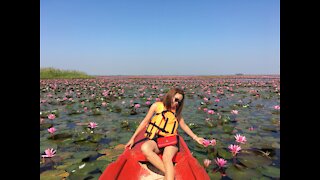 Kumphawapi Lake, Northeast Thailand