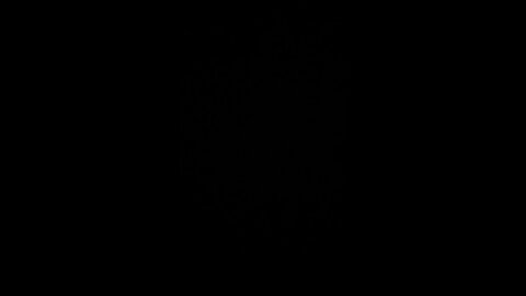 Johnny didn’t sleep with my wife