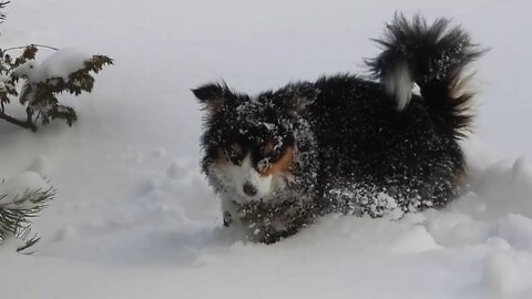 Global Warming Hot Spot