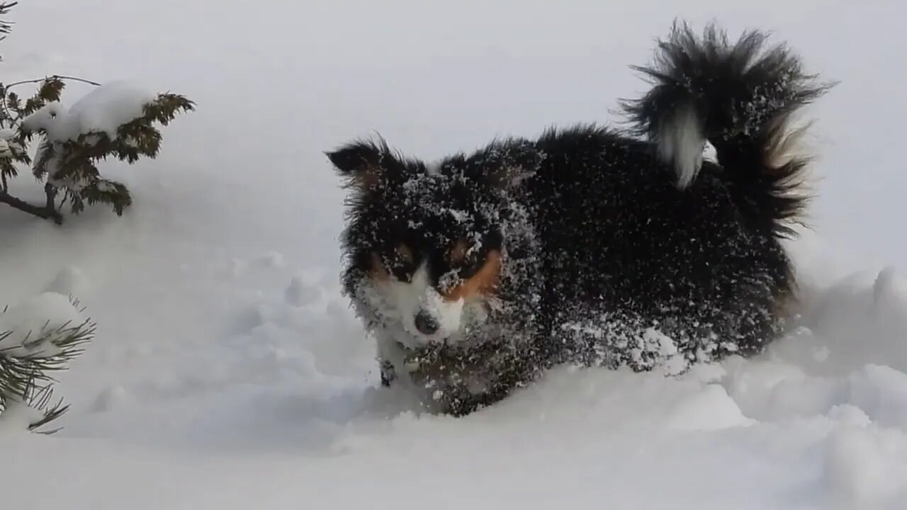 Global Warming Hot Spot