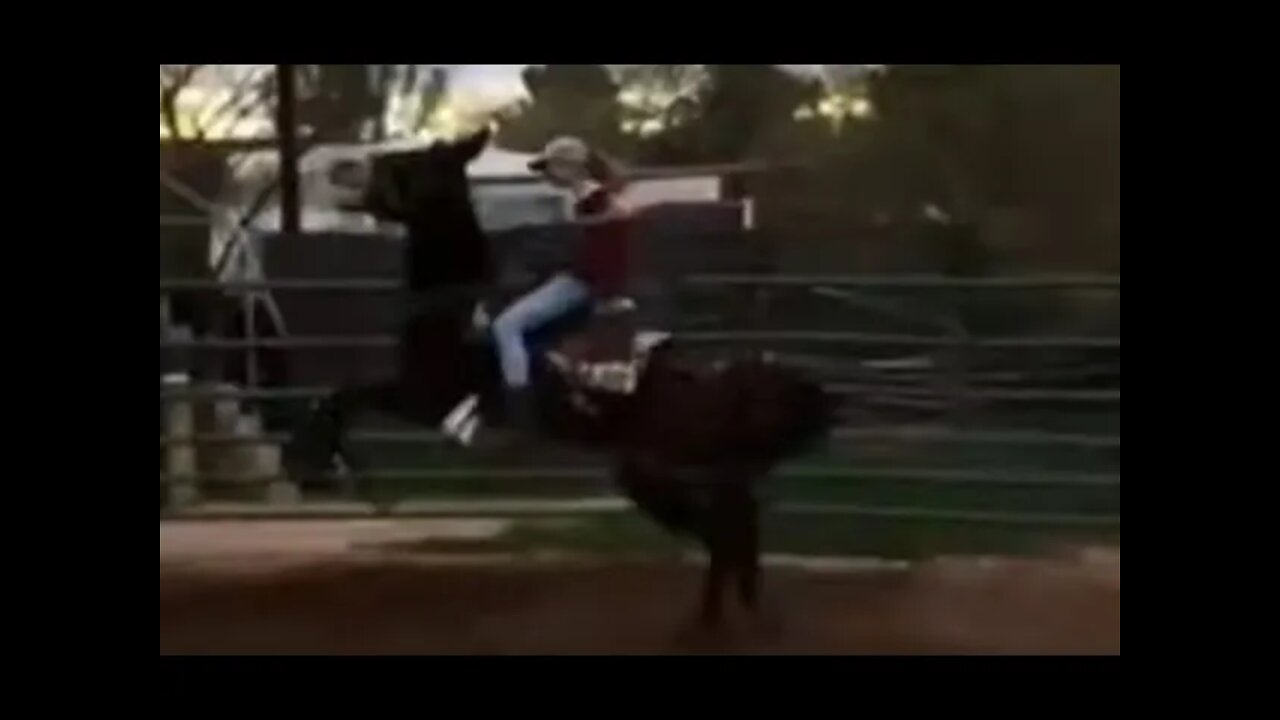 The Wrong Way To Train A Horse To Accept Gunfire - Pain & Fear Never Make For Good Learning