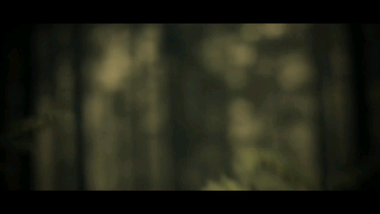 Scary forest 😱😱😱