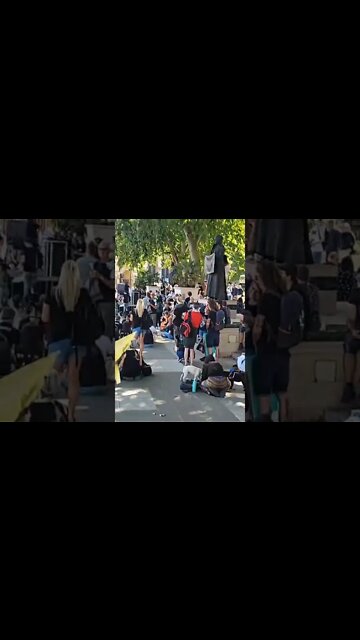 French bull dog Shakes hands #london #protest #parliamentsquare