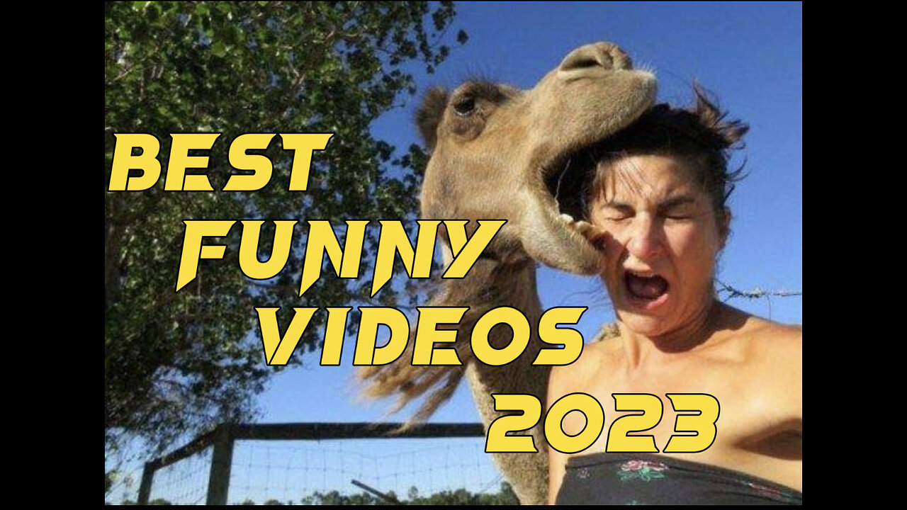 🐱😂Best Funny Videos Of 2023❤️|| Most funny cat and dog videos 🐱