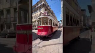 Old Trams of Lisbon Portugal 🇵🇹