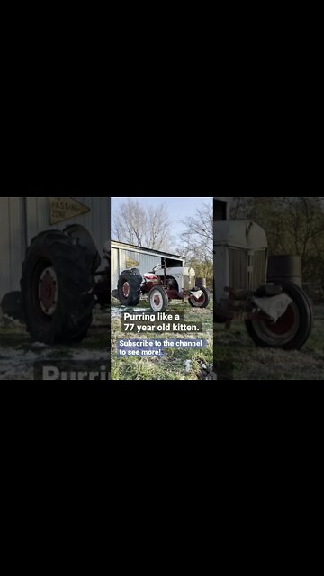 Antique Tractor Cold Start // 1945 Ford 2N #shorts