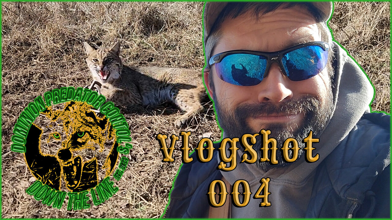 Cat Catch | DPC's Down the Line VlogShot 004