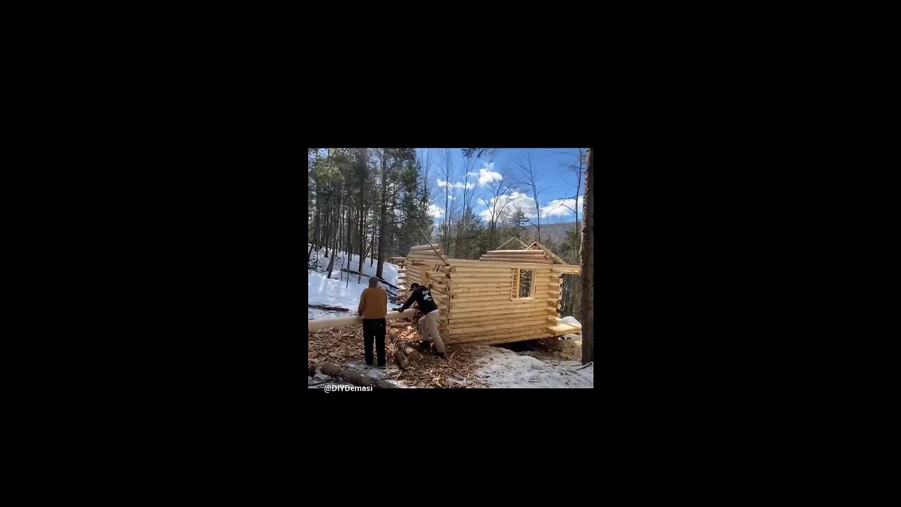 Purlin #1 installed! #logcabin #offgrid #logcabinbuild