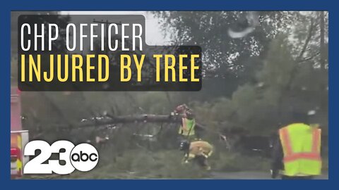 California Highway Patrol officer injured after tree falls on him