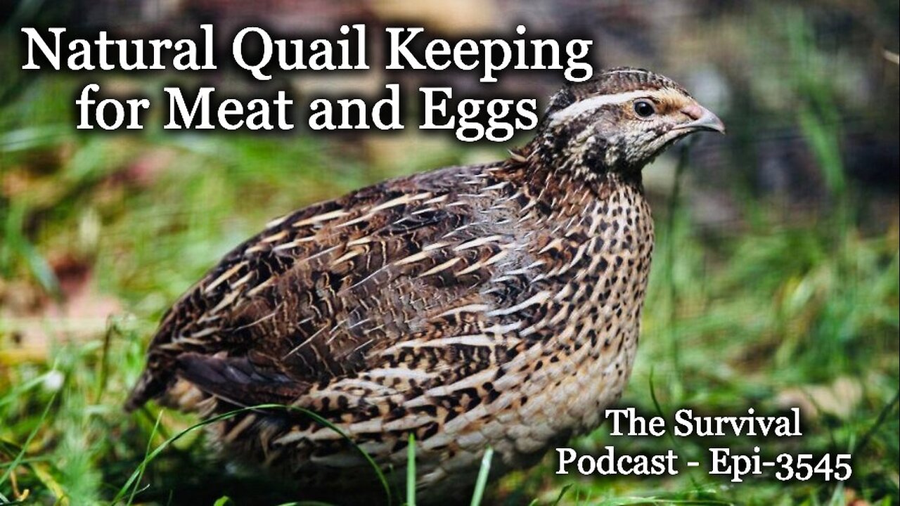 Natural Quail Keeping for Meat and Eggs - Epi-3545