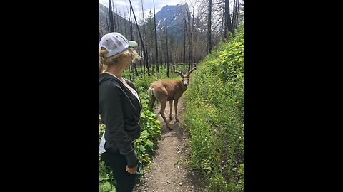 Glacier national park Montana