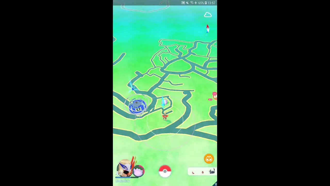 Live de Pokémon GO