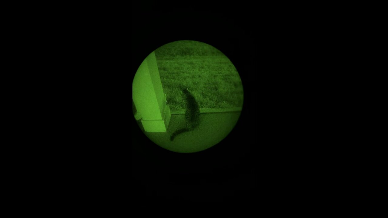 A look through night vision