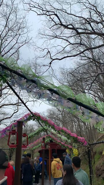 Colebrookdale Railroad Open Air Car