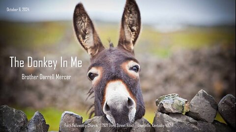 The Donkey In Me