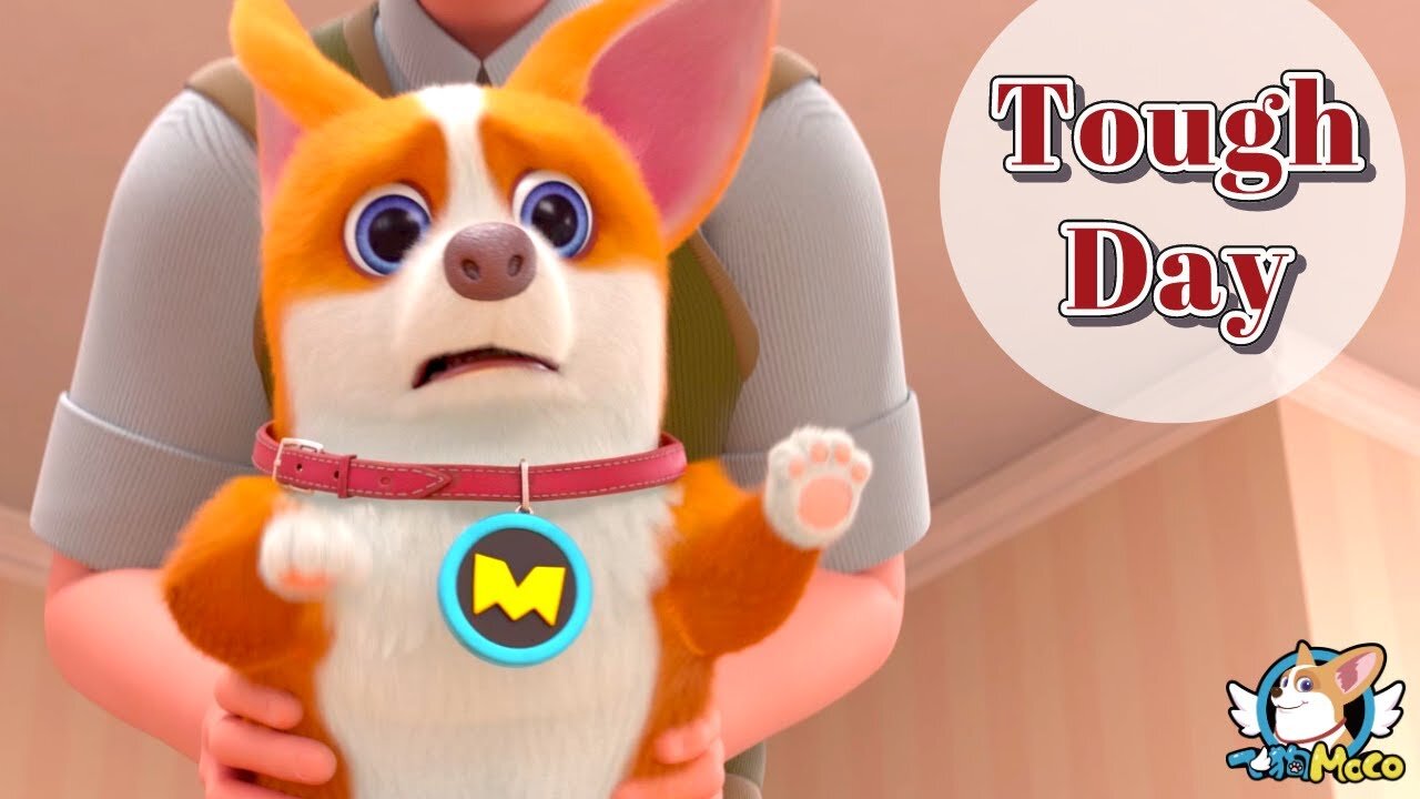 Moco And Yummy 🐕| Moco The Dog Is Having A Tough Day | Flying Moco |