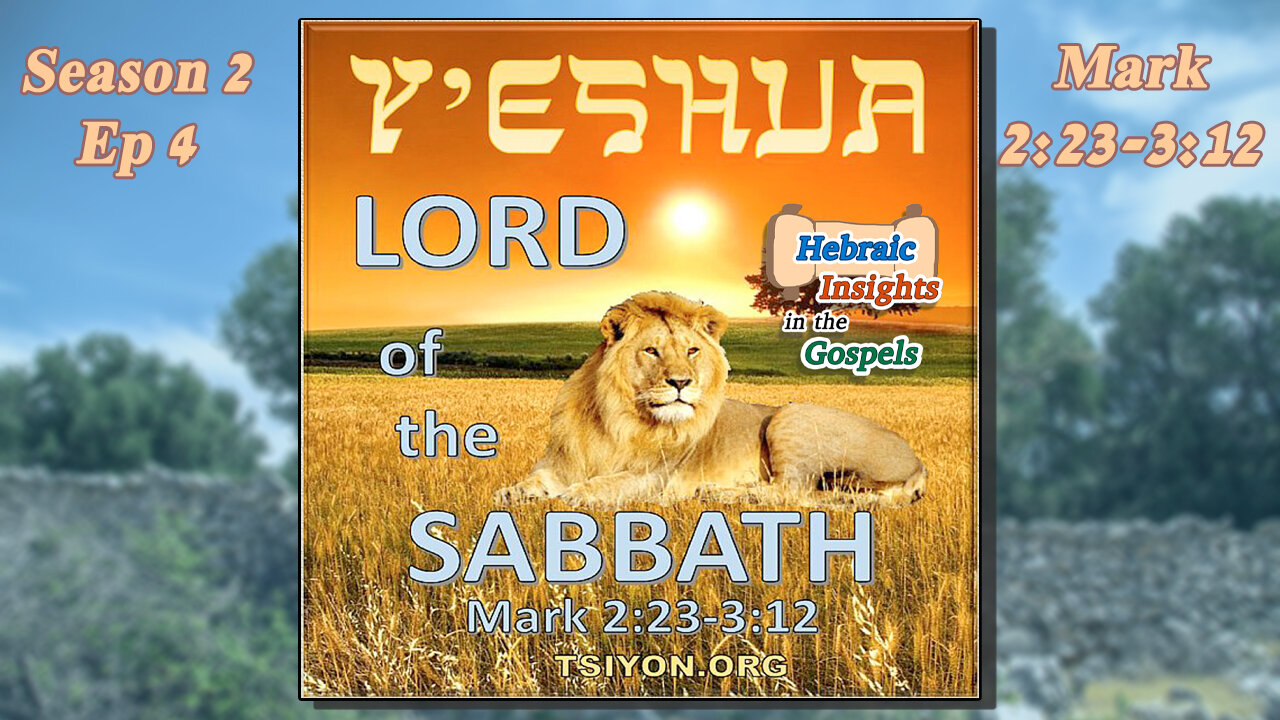 Mark 2:23-3:12 - Yeshua Lord of the Sabbath - HIG S2 Episode 4