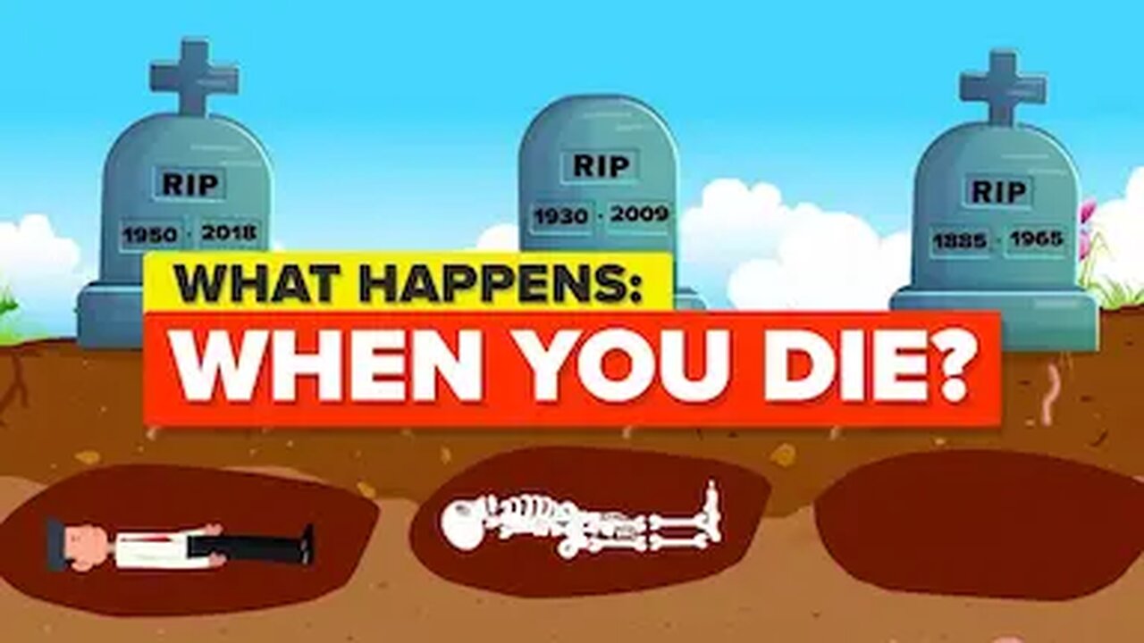 What Happens When You Die?!