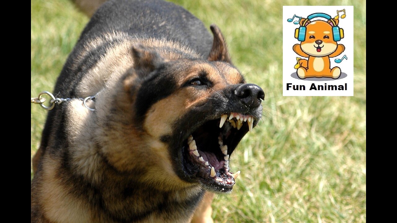 Types of Ferocious Dogs