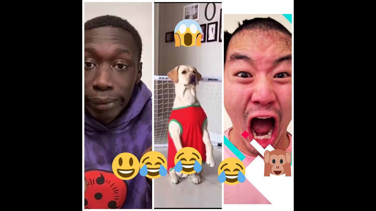 funny Tiktok video the best Tiktok memes