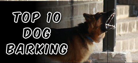 Top 10 Dogs barking 🤯 #viral