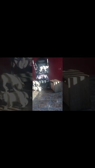 Essa família é folgada 🤨