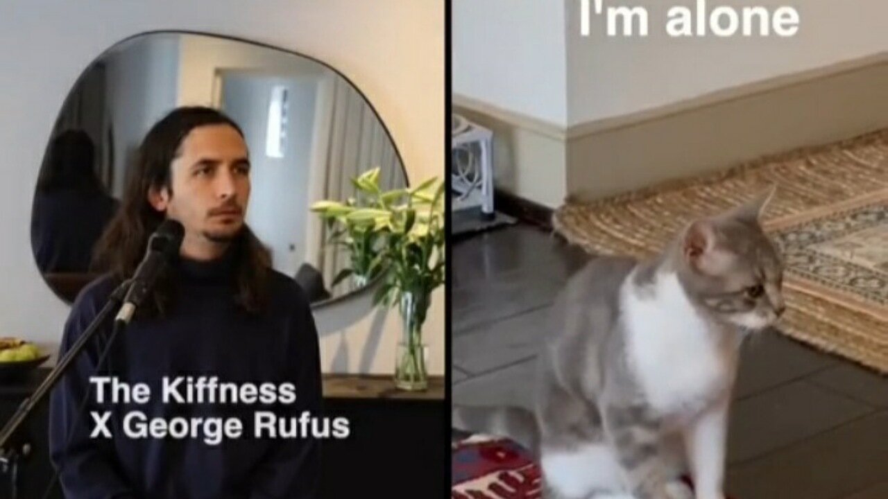 Tiktok cat singing