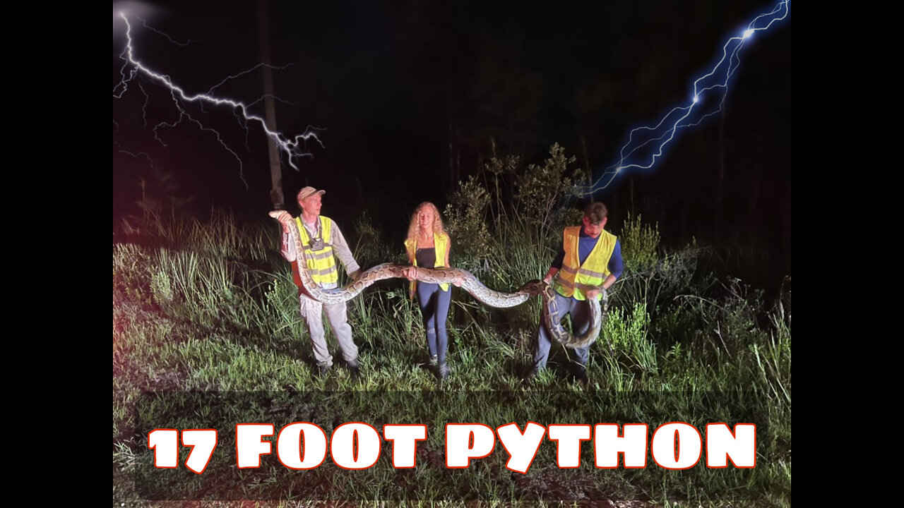 17 foot python capture!! (welcome to duff's life) - Duffdoesnaturestuff