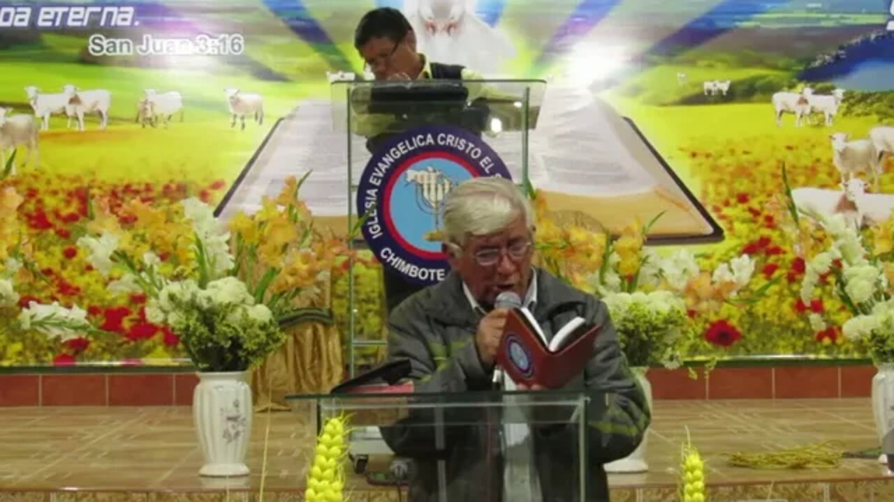 Hno ALejandro Verde Cantando