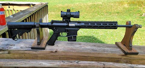 Smith & Wesson M&P 15-22 (.22lr)