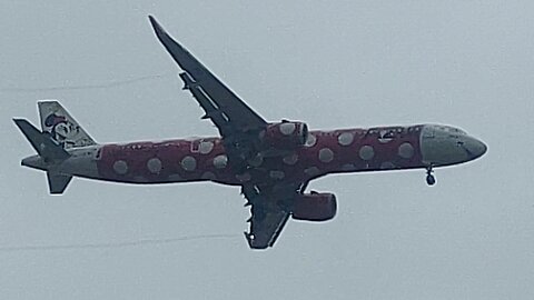 Airbus A321 PR-YJF Minnie Mouse coming from Campinas to Fortaleza