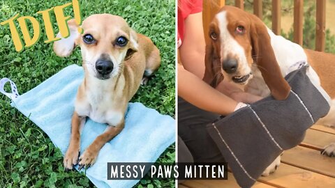 How to Make a DIY Messy Paws Mitten for Your Pup