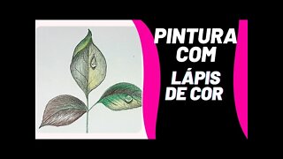 Como pintar folhas com Lápis De Cor