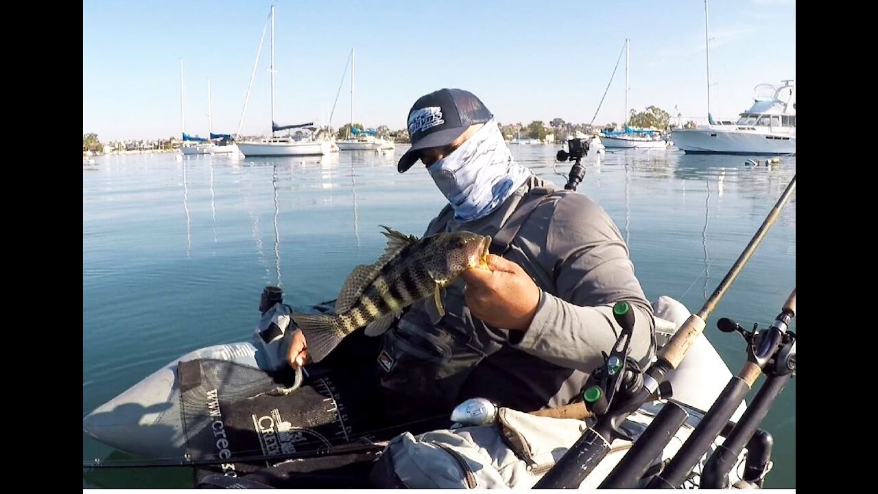 SPOTTED BAY BASS FISHING - NEWPORT BEACH HARBOR