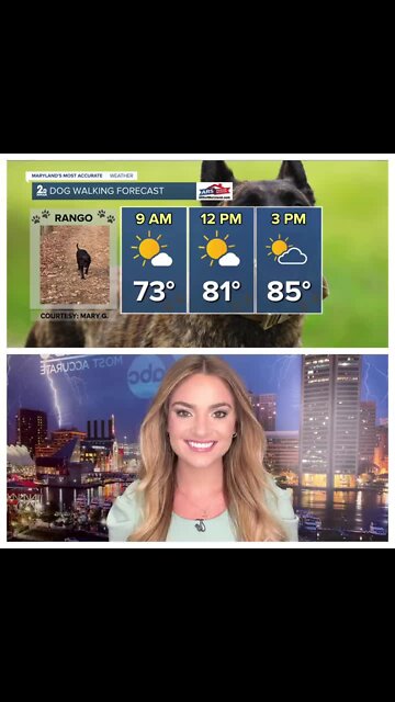 Stevie's Scoop: Drier today with sunshine!