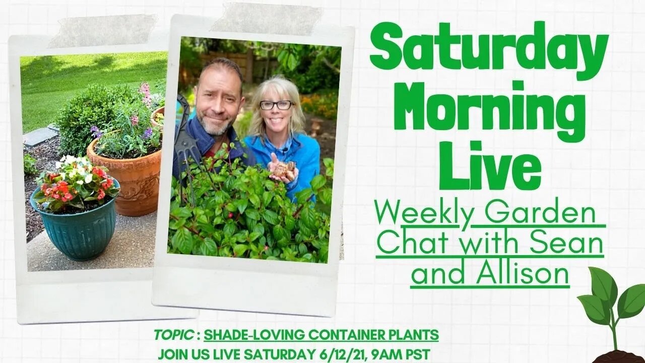 ☕ Saturday Morning LIVE Garden Chat - Shade Loving Container Plants ☕