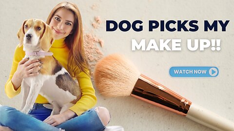 Dog pick ups make up!