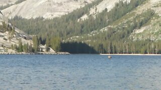 Tenaya Lake in Yosemite